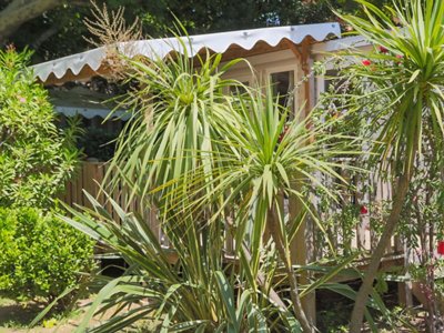 Cliquez pour découvrir toutes les photos de l'ÉTABLISSEMENT ! camping Saint-Pons photo 6