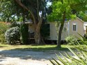 Cliquez pour découvrir toutes les photos de l'ÉTABLISSEMENT ! camping Saint-Pons photo 8