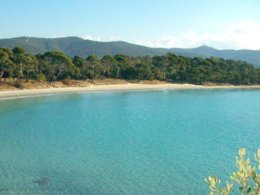 Camping Pas Cher vous présente avec son site Officiel campingpascher.fr, le Camping Saint-Pons classé 3 étoiles, situé sur la commune de Le Lavandou dans le département Var (Provence Alpes Côte D'azur) en France. Le camping Saint-Pons, vous présente un hébergement de type mobil-home de 24 m². Le camping Saint-Pons vous propose du mercredi 10 juin au mercredi 17 juin 2026, en promotion à -10% pour 7 nuits à 410,40 € au lieu de 456,0 € soit une Économie de 45,60 €. Cette location propose 53 dates différentes pour réserver votre séjour. Découvrez également les 4 autres gammes d'hébergements du camping. Mer, Animations familiales, Aire de jeux enfants, Ping-pong, Pétanque, Randonnée,... En savoir plus : cliquez-ICI.
