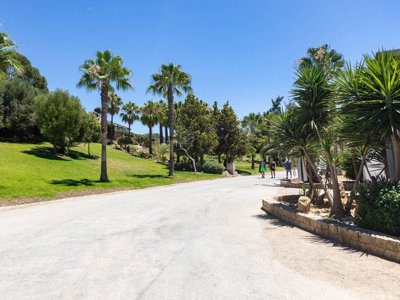Cliquez pour découvrir toutes les photos de l'ÉTABLISSEMENT ! camping Albufeira photo 10