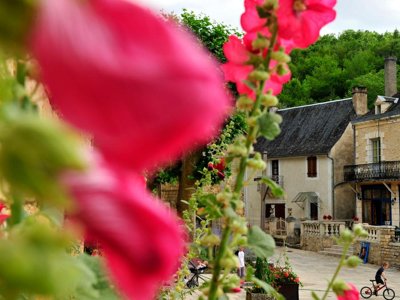 Cliquez pour découvrir toutes les photos de l'ÉTABLISSEMENT ! résidence Goélia Les Cottages Du Lac photo 21