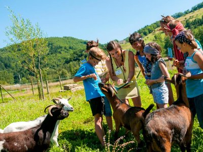 Cliquez pour découvrir toutes les photos de l'ÉTABLISSEMENT ! résidence Le Village Goélia photo 21