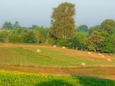 Cliquez pour découvrir toutes les photos de l'ÉTABLISSEMENT ! résidence Goélia Les Maisons Du Golf D'Armagnac photo 8