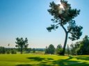 Cliquez pour découvrir toutes les photos de l'ÉTABLISSEMENT ! résidence Goélia Les Maisons Du Golf D'Armagnac photo 11