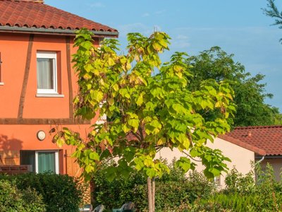résidence Goélia Le Hameau De La Vézère photo 25