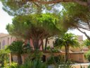 résidence Goélia Argelès Village Club photo 10