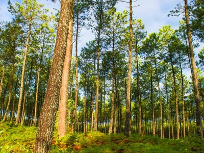 Cliquez pour découvrir toutes les photos de l'ÉTABLISSEMENT ! résidence Goélia Les Jardins De L'Oyat photo 4
