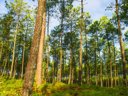 Cliquez pour découvrir toutes les photos de l'ÉTABLISSEMENT ! résidence Goélia Les Jardins De L'Oyat photo 4