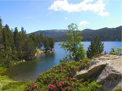 Cliquez pour découvrir toutes les photos de l'ÉTABLISSEMENT ! résidence Goélia - Le Domaine De Castella photo 3