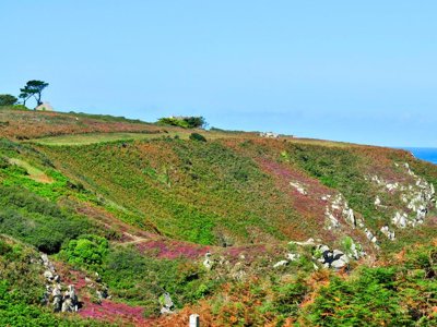 Cliquez pour découvrir toutes les photos de l'ÉTABLISSEMENT ! résidence Goélia - An Douar photo 4