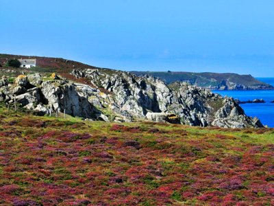Cliquez pour découvrir toutes les photos de l'ÉTABLISSEMENT ! résidence Goélia - An Douar photo 5