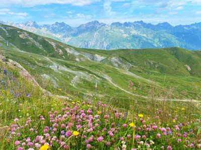 Cliquez pour découvrir toutes les photos de l'ÉTABLISSEMENT ! résidence Goélia Les Terrasses Du Corbier photo 15