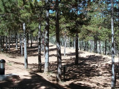 Cliquez pour découvrir toutes les photos de l'ÉTABLISSEMENT ! camping Las Cabanas photo 5