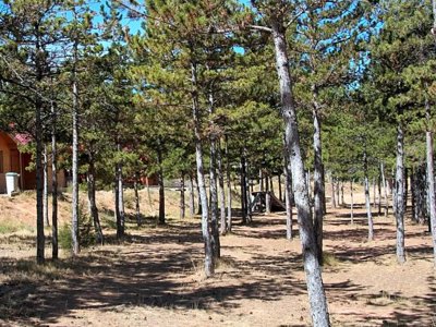 Cliquez pour découvrir toutes les photos de l'ÉTABLISSEMENT ! camping Las Cabanas photo 7