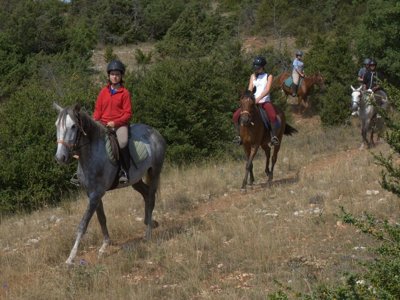 Cliquez pour découvrir toutes les photos de l'ÉTABLISSEMENT ! camping La Claparède photo 10