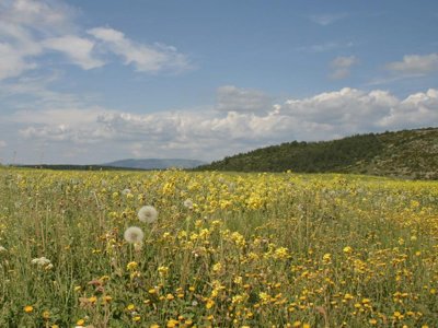 Cliquez pour découvrir toutes les photos de l'ÉTABLISSEMENT ! camping La Claparède photo 20