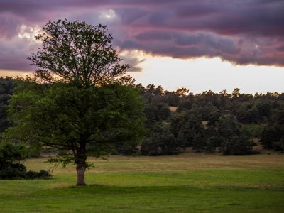 Cliquez pour découvrir toutes les photos de l'ÉTABLISSEMENT ! camping La Claparède photo 27