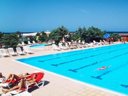 Camping Pas Cher vous présente avec son site Officiel campingpascher.fr, le Camping Bella Italia Sardinia classé 4 étoiles, situé sur la commune de Marina Di Sorso dans le département Sassari (Sardaigne) en Italie. Le camping Bella Italia Sardinia, vous présente un hébergement de type mobil-home. Le camping Bella Italia Sardinia vous propose du sam. 26 septembre au sam. 03 octobre 2026, en promotion à -28% pour 7 nuits à 275 € au lieu de 385,0 € soit une Économie de 110 €. Cette location propose 13 dates différentes pour réserver votre séjour. Découvrez également les 1 autres gammes d'hébergements du camping. Mer, Bassin enfant, Piscine extérieure, Animations familiales, Aire de jeux enfants, Ping-pong, Terrain multisports, Restaurant, Snack/Bar, Épicerie,... En savoir plus : cliquez-ICI.