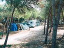Cliquez pour découvrir toutes les photos de l'ÉTABLISSEMENT ! camping Bella Italia Sardinia photo 7