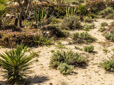 camping Orla Ilha De Tavira Ecoglamping photo 16