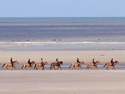 Cliquez pour découvrir toutes les photos de l'ÉTABLISSEMENT ! camping Les 2 Plages Quend photo 23