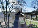 Cliquez pour découvrir toutes les photos de l'ÉTABLISSEMENT ! camping Vidrà photo 9