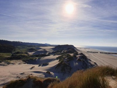 Cliquez pour découvrir toutes les photos de l'ÉTABLISSEMENT ! village vacances Ginsterveld photo 19