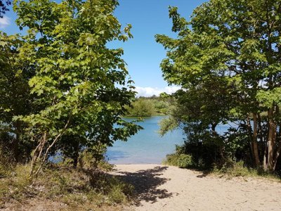 Cliquez pour découvrir toutes les photos de l'ÉTABLISSEMENT ! village vacances Ginsterveld photo 20