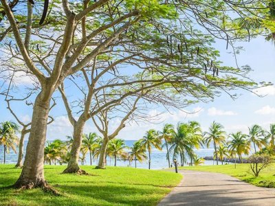 village vacances Pierre & Vacances Village Sainte-Anne Guadeloupe photo 7