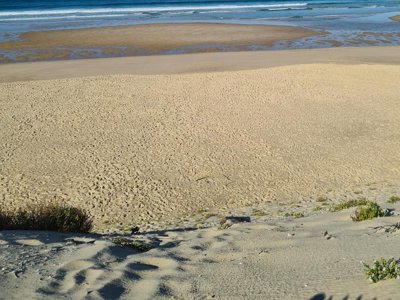 camping Les Sables D'argent photo 23