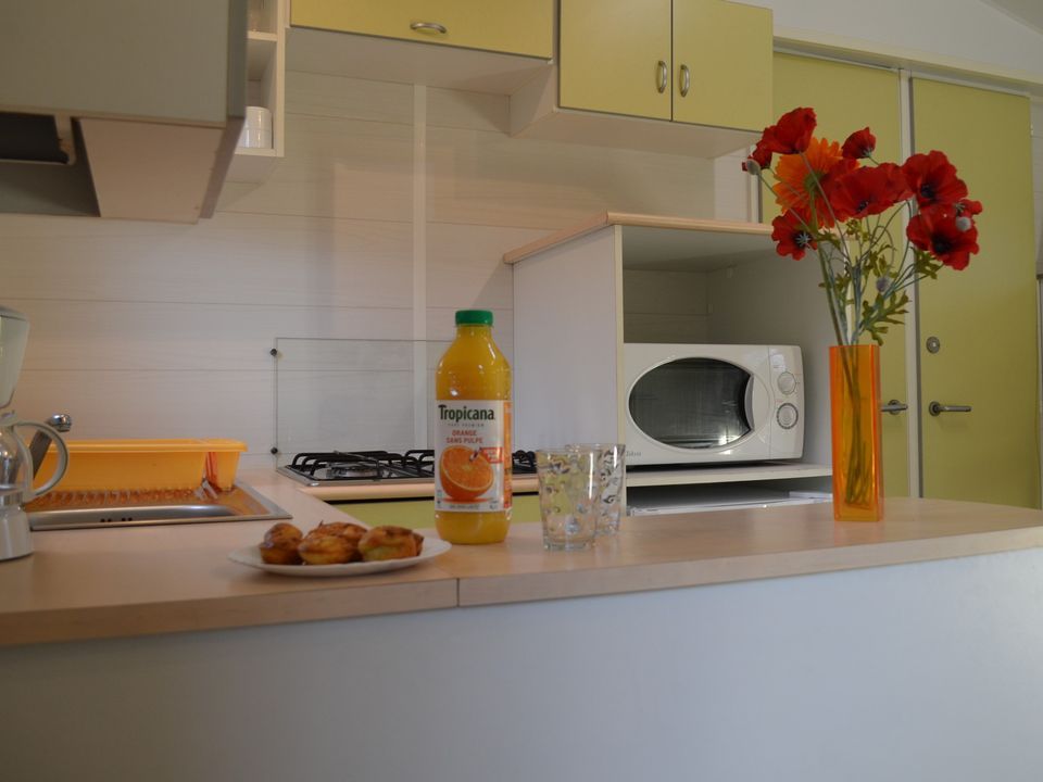 Cliquez pour découvrir toutes les photos de l'HÉBERGEMENT ! mobil-home - Flower L'Echo Du Malpas photo 4