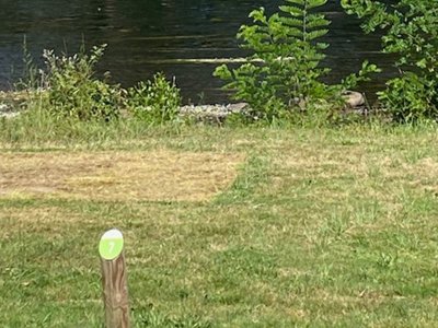 Cliquez pour découvrir toutes les photos de l'ÉTABLISSEMENT ! établissement Flower L'Echo Du Malpas photo 20