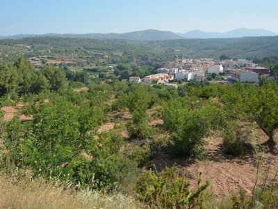 Cliquez pour découvrir toutes les photos de l'ÉTABLISSEMENT ! camping Altomira photo 21