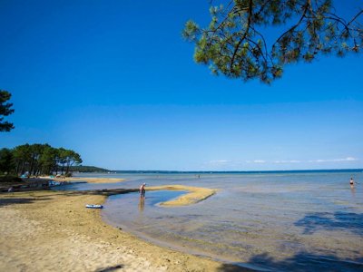 Cliquez pour découvrir toutes les photos de l'ÉTABLISSEMENT ! camping Club Navarrosse Plage 4* - MS VACANCES photo 9