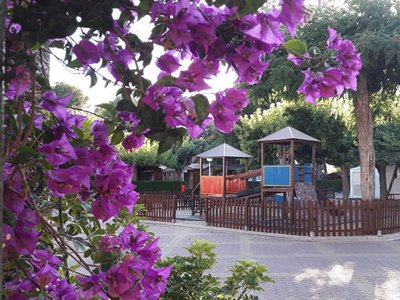 camping L'Alqueria photo 15