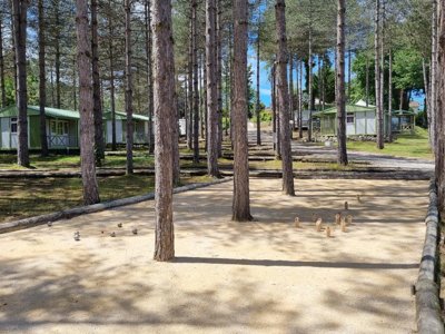 Cliquez pour découvrir toutes les photos de l'ÉTABLISSEMENT ! camping Le Pardaillan photo 14