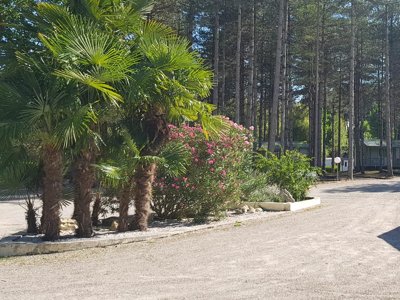 Cliquez pour découvrir toutes les photos de l'ÉTABLISSEMENT ! camping Le Pardaillan photo 24