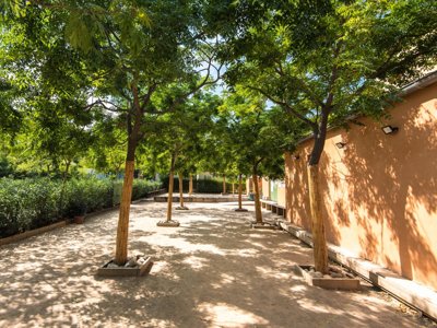 Cliquez pour découvrir toutes les photos de l'ÉTABLISSEMENT ! établissement La Pinède Enchantée photo 10