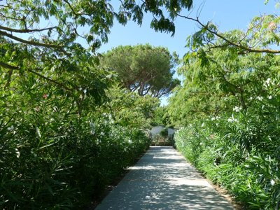 Cliquez pour découvrir toutes les photos de l'ÉTABLISSEMENT ! établissement La Pinède Enchantée photo 14