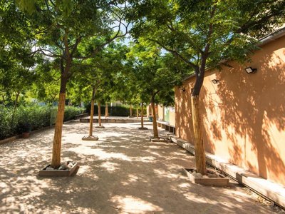 Cliquez pour découvrir toutes les photos de l'ÉTABLISSEMENT ! établissement La Pinède Enchantée photo 15