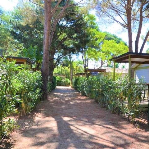 mobilhome - La Pinède Enchantée photo 1