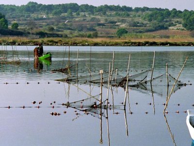 Cliquez pour découvrir toutes les photos de l'ÉTABLISSEMENT ! établissement Le Hameau Des Cannisses photo 12