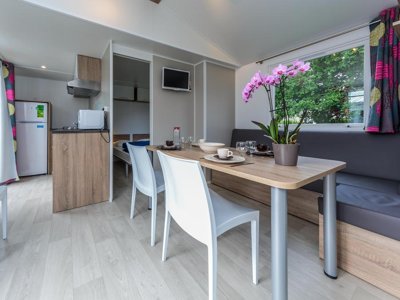 Cliquez pour découvrir toutes les photos de l'HÉBERGEMENT ! mobil-home - La Roche Percée photo 2