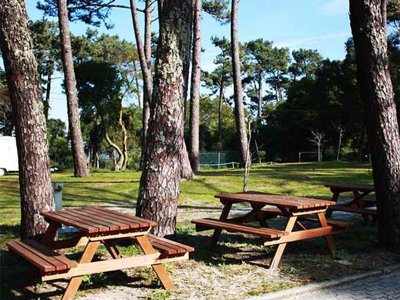 Cliquez pour découvrir toutes les photos de l'ÉTABLISSEMENT ! camping Caminha photo 4