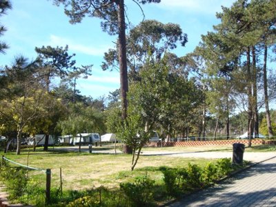 Cliquez pour découvrir toutes les photos de l'ÉTABLISSEMENT ! camping Caminha photo 9