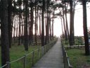 Cliquez pour découvrir toutes les photos de l'ÉTABLISSEMENT ! camping Caminha photo 10