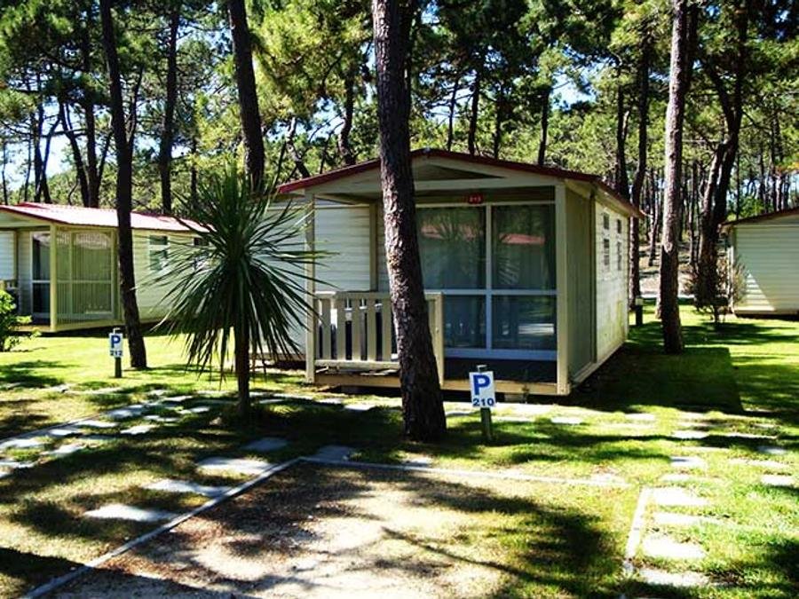 Camping Pas Cher vous présente avec son site Officiel campingpascher.fr, le Camping Gala classé 3 étoiles, situé sur la commune de Figueira Da Foz dans le département Centre Du Portugal (Centre Du Portugal) au Portugal. Le camping Gala vous propose un hébergement de type bungalow de 26 m² pour 2 personnes (télévision). L'établissement vous propose 4 autres types d'hébergements. Découvrez tous nos séjours à petits prix dans la commune et aux alentours de Figueira Da Foz du département : Centre Du Portugal (Centre Du Portugal). Les Avis clients pour le Camping Gala sont de 7 sur 10. MerRivière, Piscine extérieure, Animations familiales, Aire de jeux enfants, Canoë-kayak, Court de tennis, Cyclisme, Golf, Parcours sportif, Ping-pong, Planche à voile, Plongée, Salle de jeux vidéo, Surf, Voile, Bar, Dépôt de pain, Snack/Bar, Épicerie,... En savoir plus : cliquez-ICI.