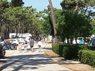 camping Gala photo 21