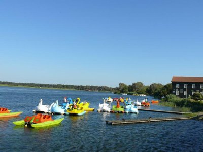 Cliquez pour découvrir toutes les photos de l'ÉTABLISSEMENT ! camping Mira photo 8