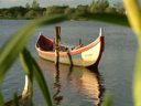 Cliquez pour découvrir toutes les photos de l'ÉTABLISSEMENT ! camping Mira photo 9